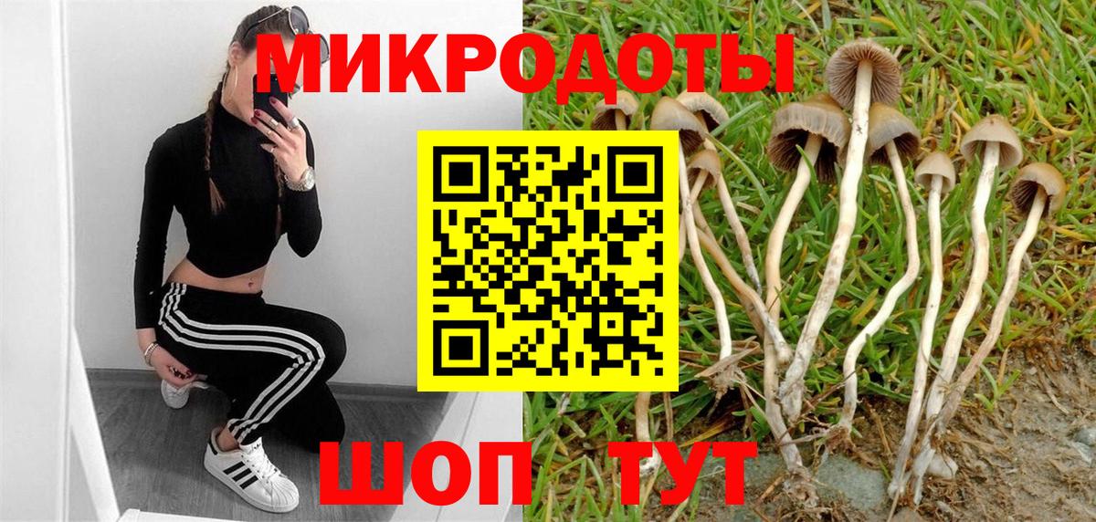 Вышний Волочёк  Галлюциногенные грибы ЛСД  Вход с VPN 