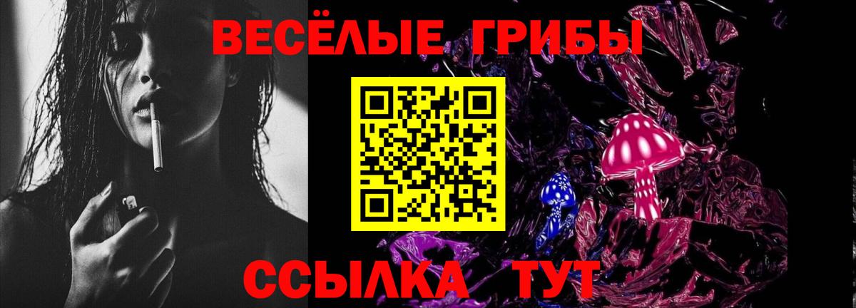 Псилоцибиновые грибы прущие грибы Вышний Волочёк